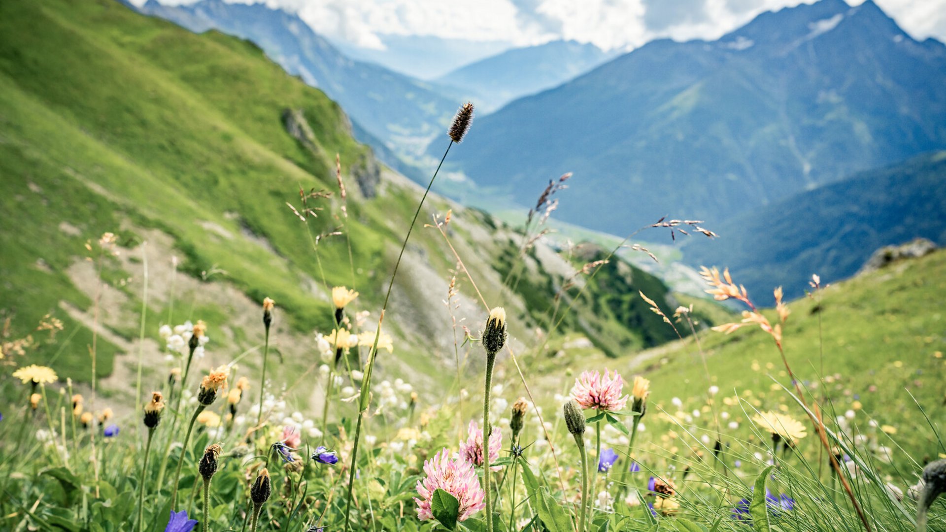 Quality Hosts Arlberg: Hotels in St. Anton am Arlberg